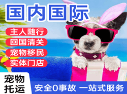 厦门航空空运国际宠物托运 【国